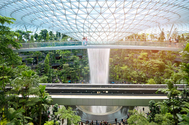 How to Start Using Biomimicry in Design