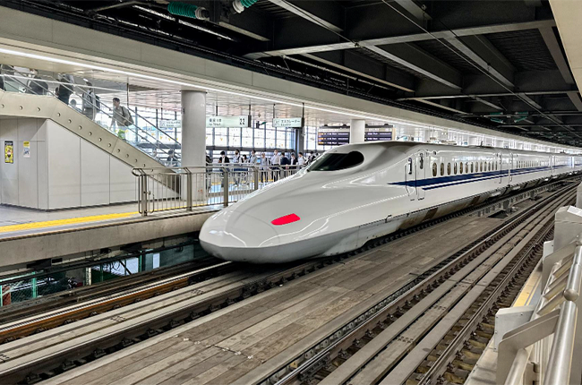 Real-Life Examples of Biomimicry in Design